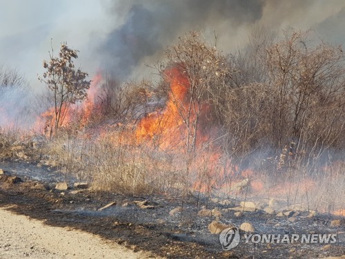 강화 해병대 사격장서 훈련 중 산불…옆 산 번져(종합2보)