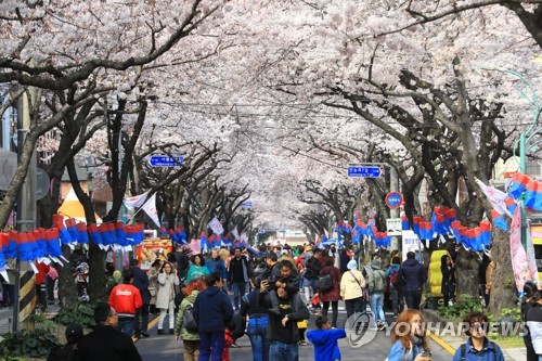 "봄 향기에 흠뻑"…전농로왕벚꽃축제 개막