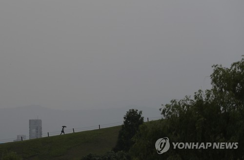 낮 길이 가장 긴 '하지'…충청 남부·전라도 등 곳곳 비