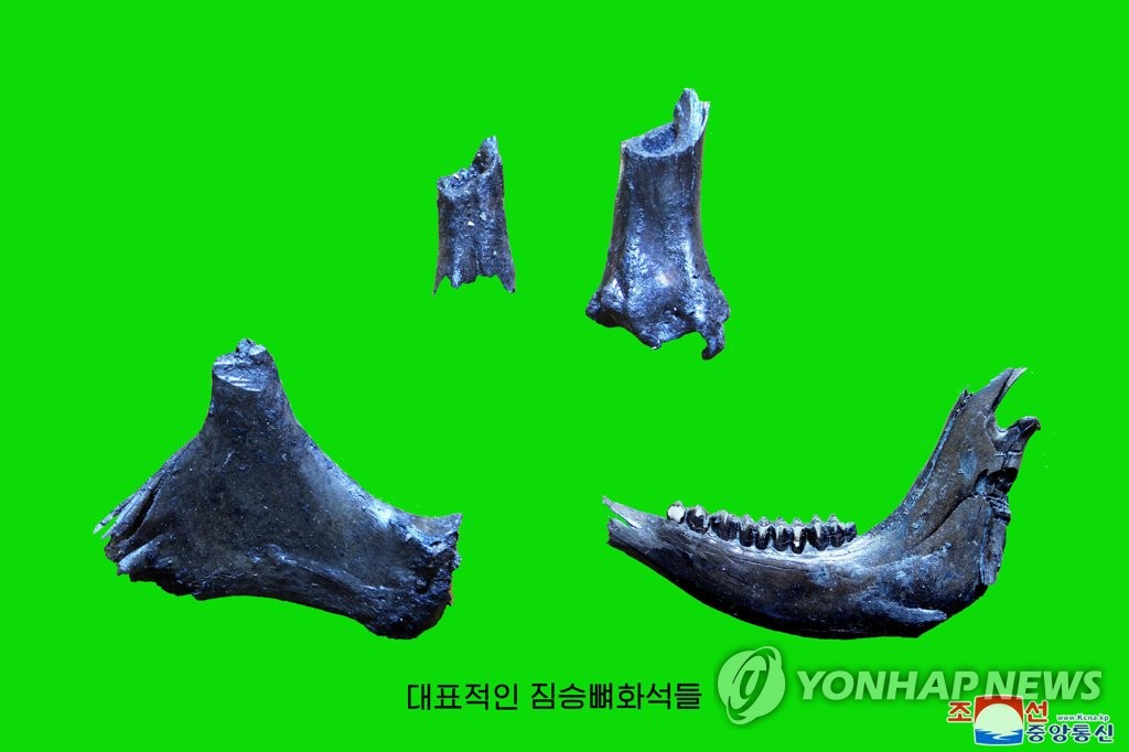 북한서 구석기시대 후기 유적 발굴