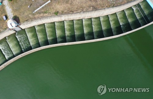 경남환경단체 "낙동강 수문 열어 수질 개선하라"