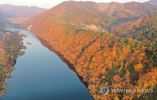 Autumn leaves along Soyang River