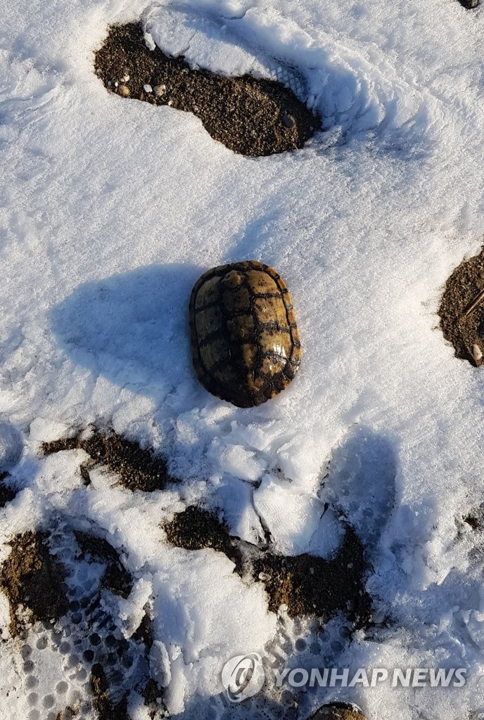 Æø¼³ ³»¸° ÇØº¯¿¡ ¹ö·ÁÁø ¹Î¹° °ÅºÏ