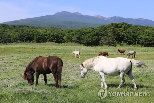 수요일 새벽까지 비…낮부터 차차 맑아져