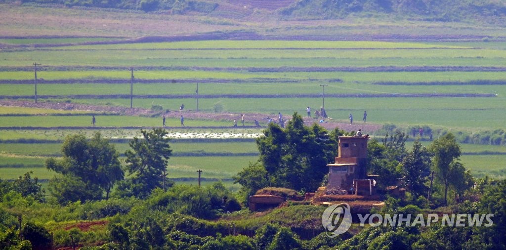 농사일하는 북한 주민들