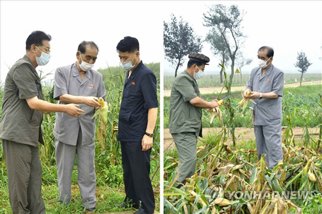 This image dated Aug. 30, 2020, and captured from the homepage of the Rodong Sinmun, an organ of the North Korean Workers' Party, shows North Korean Premier Kim Tok-hun visiting farms in South Hwanghae Province hit by Typhoon Bavi that swept through the Korean Peninsula last week and discusses working-level issues stemming from the recovery efforts. (For Use Only in the Republic of Korea. No Redistribution) (Yonhap)