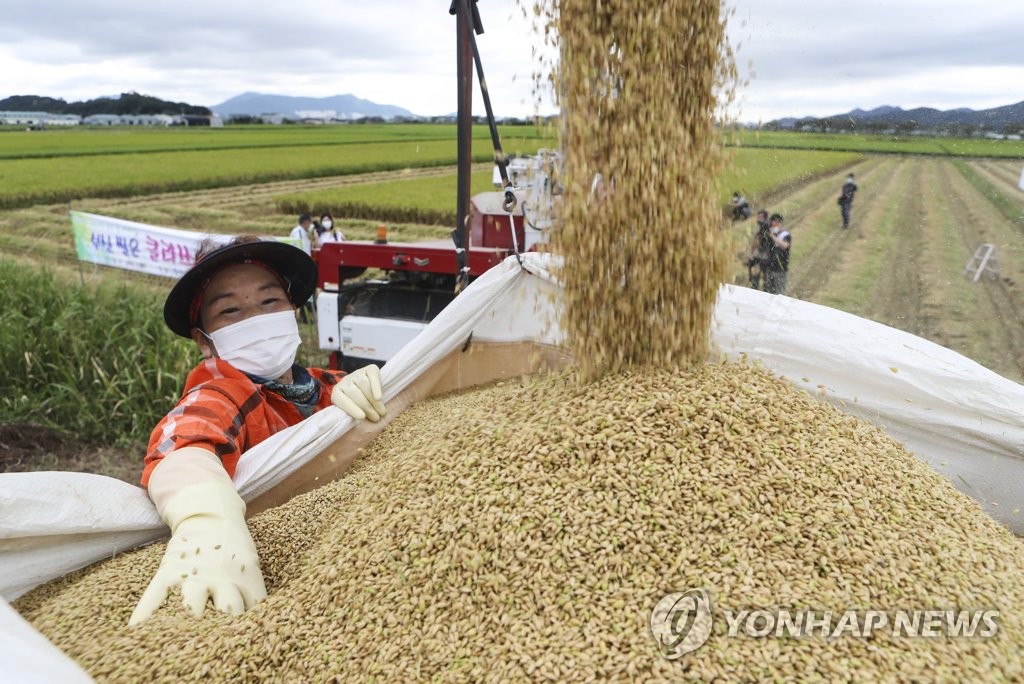 S. Korea to start purchase of rice for emergency reserves