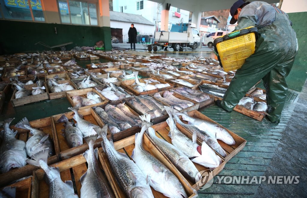 This file photo, taken Dec. 16, 2020, shows fish for sale in Geoje, 333 kilometers southeast of Seoul. (Yonhap)