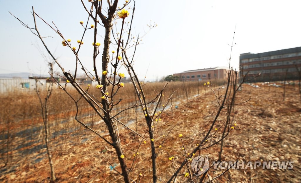 ì–'ì´ì›ì˜ æ¯ ê´'ëª… ì‹ ë„ì‹œ ì¸ê·¼ ë•… ë§¤ìž… ì²˜ë¶„í•˜ê² ë‹¤ ì—°í•©ë‰´ìŠ¤