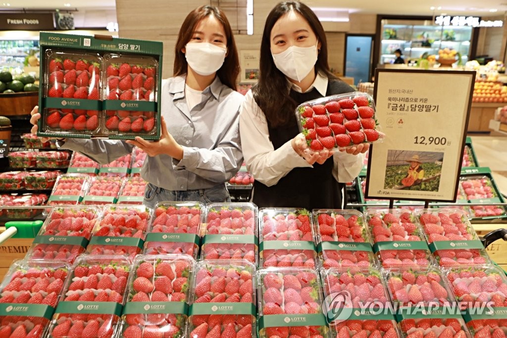 Exportations de fraises en hausse de 25% sur la période janvier-mai - 1