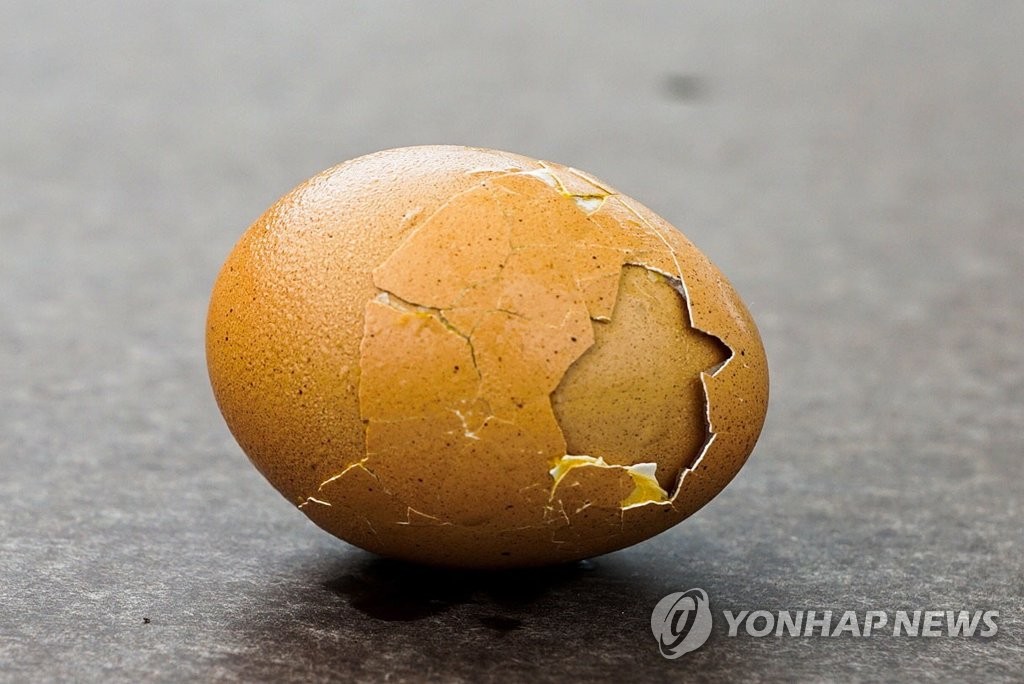 Doubleshelled egg Yonhap News Agency