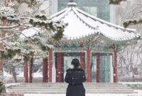 설 전날·설날, 중부지방 함박눈…서울, 9년만에 눈내리는 설날