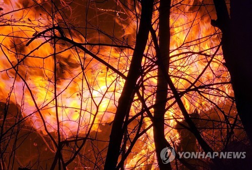 [속보] '산불 확산' 삼척도 산불재난 국가위기경보 '심각' 발령