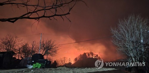 강릉옥계 산불 대피 중 넘어진 80대 숨져…"화재 연관성 적어"