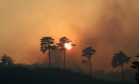 12시간 만에 주불 잡은 양양 산불…잔불 진화에 헬기·인력 투입