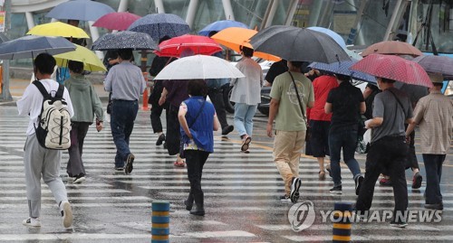 많은 비, 우산 행렬