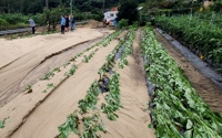 강원농업기술원, 폭우 따른 작물 피해 최소화 농가 당부