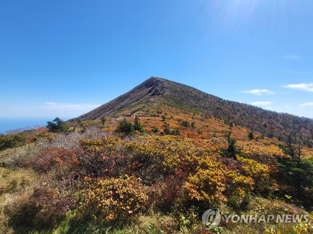 Autumn hues on Mount Seorak
