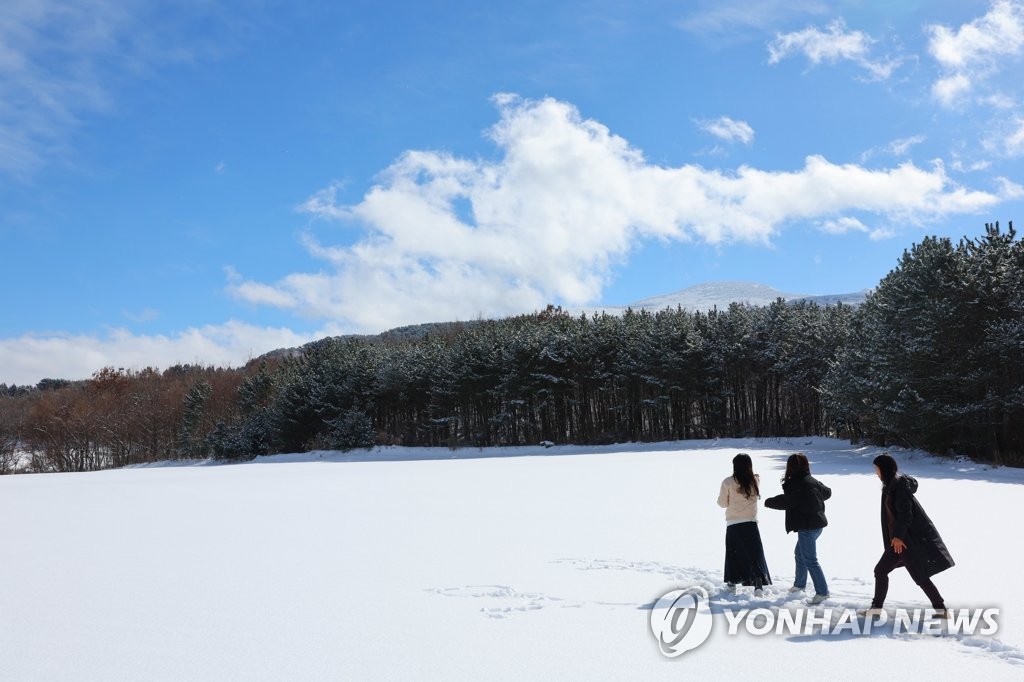 済州島の冬景色