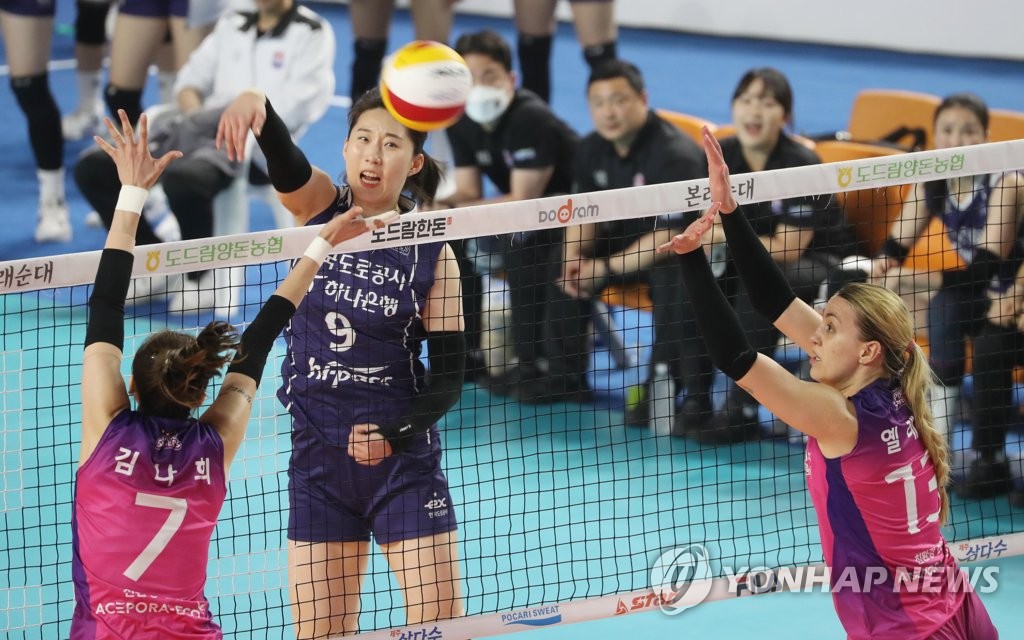 박정아 