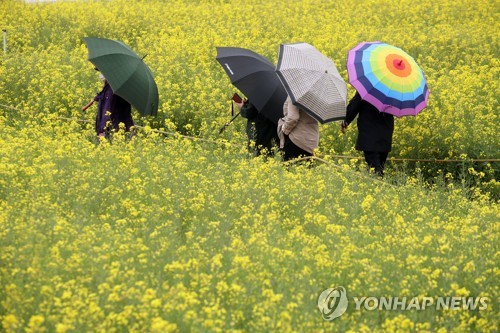 봄비도 못 막은 나들이…황금연휴 첫날 전국 축제장 북적