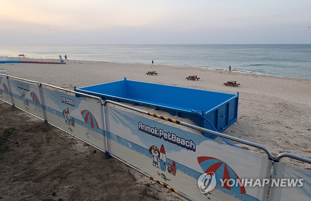 댕댕이와 함께한 즐거운 피서…강릉 안목해변 펫 비치 '호평'