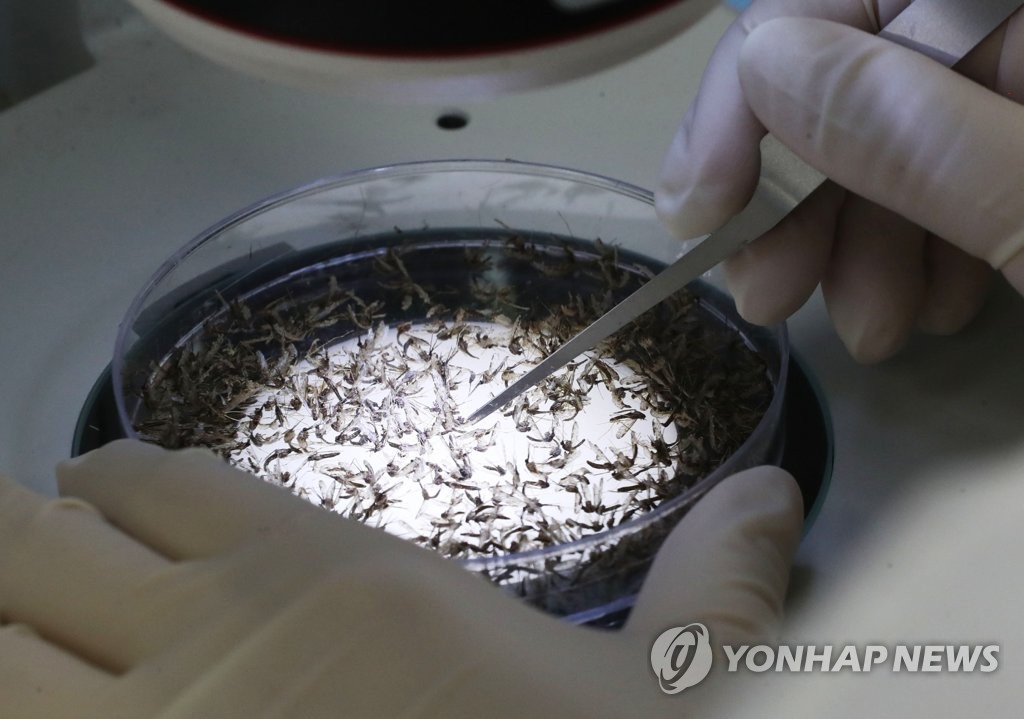 질병청, 말라리아 주의보 발령…"장마 전후 매개모기 증가 예상"