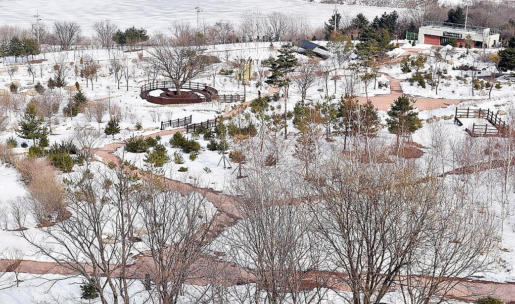 DMZ arboretum to reopen | Yonhap News Agency