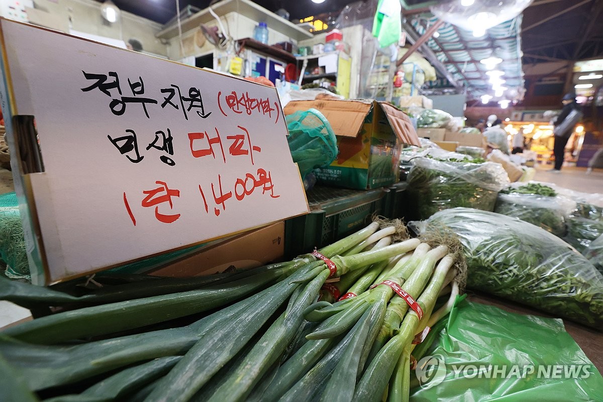정부 지원 할인 대파 | 연합뉴스