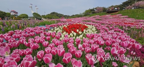 Exposition de tulipes