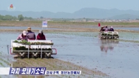 田植えをする北朝鮮住民