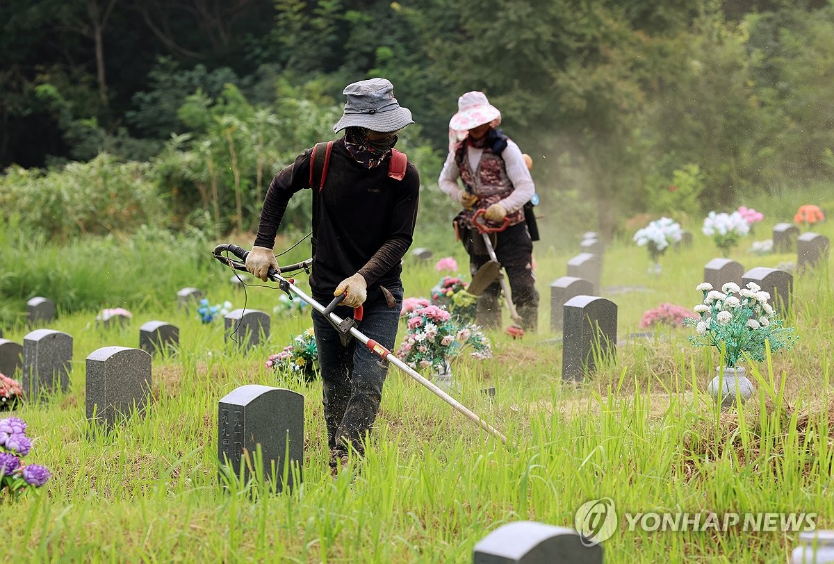 추석 앞두고 벌초 한창