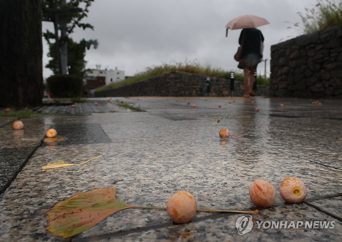 가을비에 후두둑