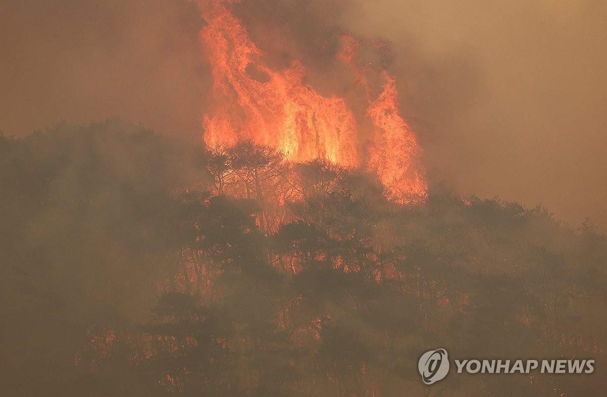 韓国の山火事　強風で消火難航