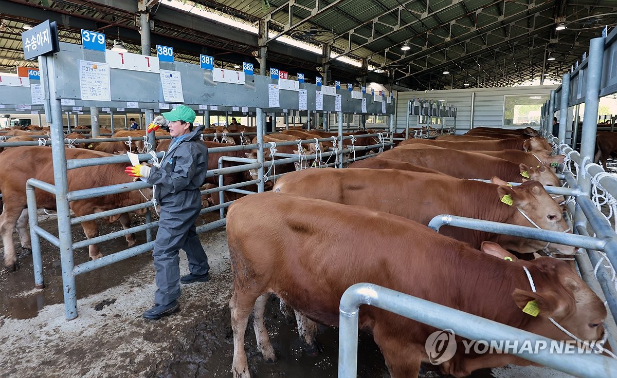 2분기 오리 사육 늘고, 소·돼지·닭은 줄어