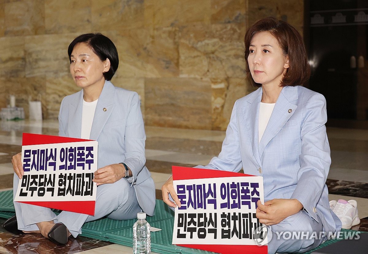 나경원, 