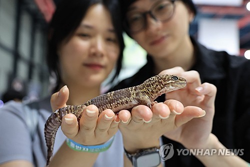 ソウルで爬虫類博覧会