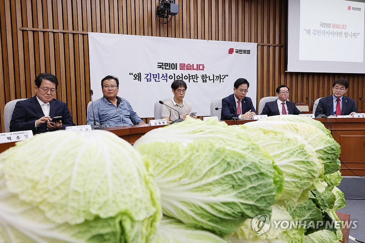 국힘, '국민청문회' 열어 "김민석 지명철회"…내일 용…