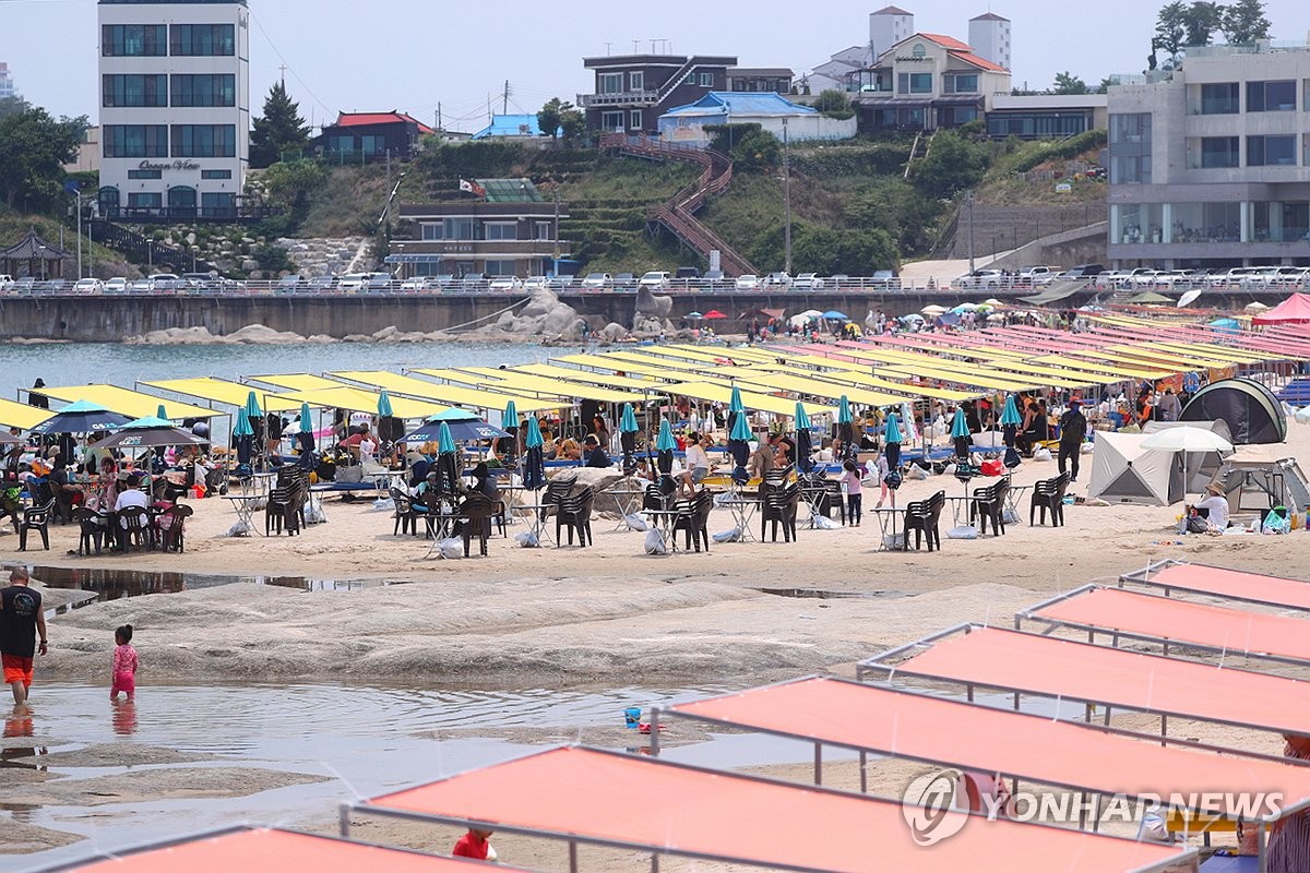 "폭염 잊고 바다로 풍덩" 주요 해수욕장 피서 인파로 …