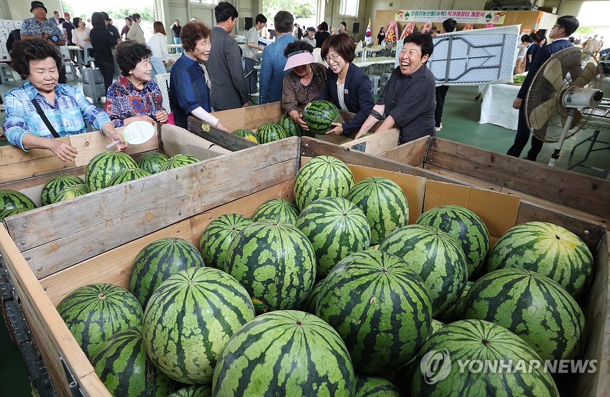 신엄리 수박 직거래 장터 개장