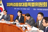 발언하는 전현희 3대특검대응특위 총괄위원장