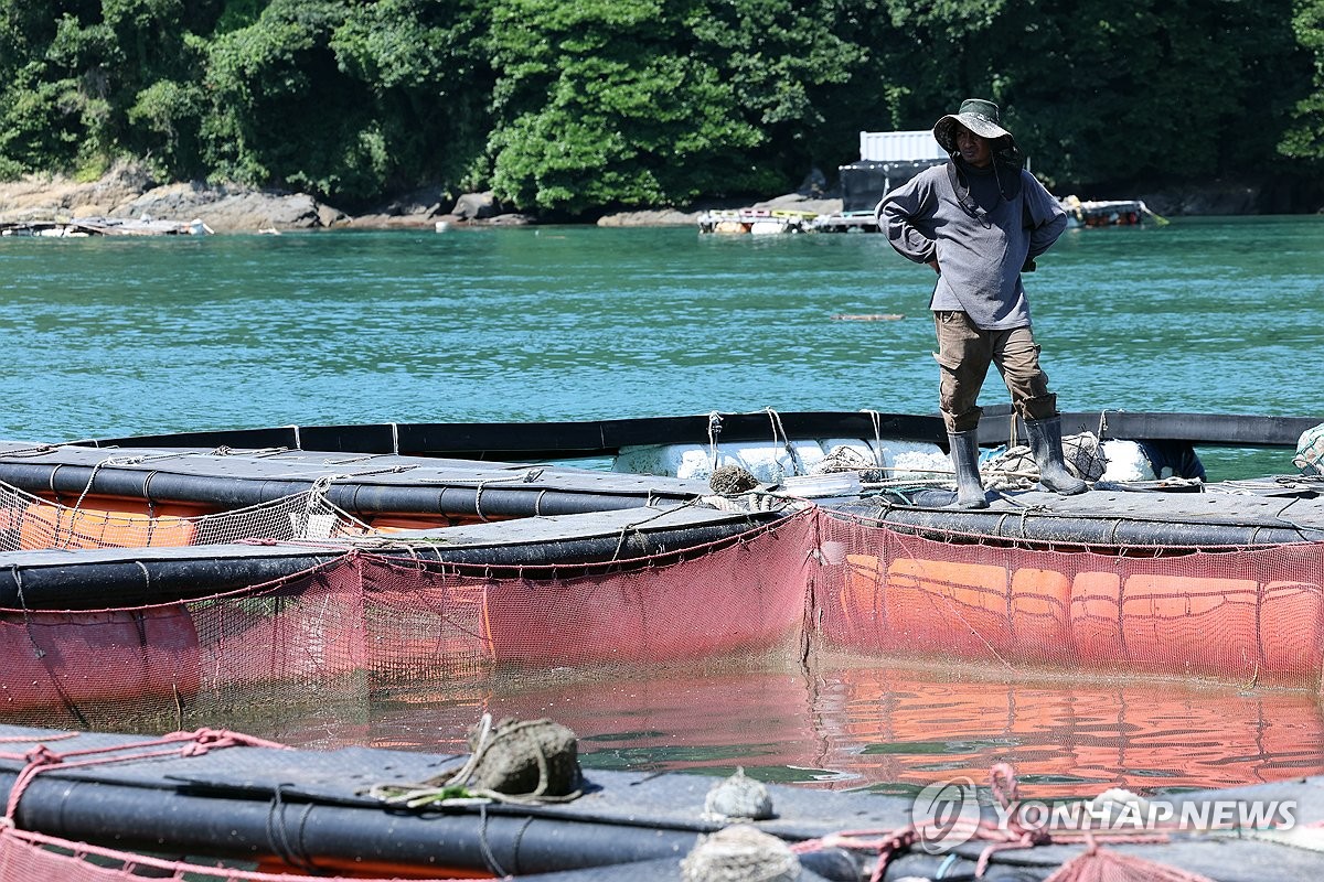 양식어업인 45명, 어장환경 관리 엉망…면허 첫 퇴짜