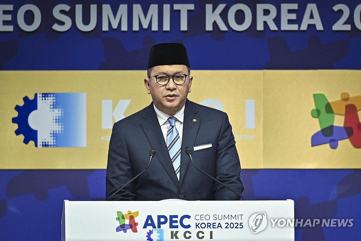 APEC CEO 서밋, 연설하는 인도네시아 투자부 장관