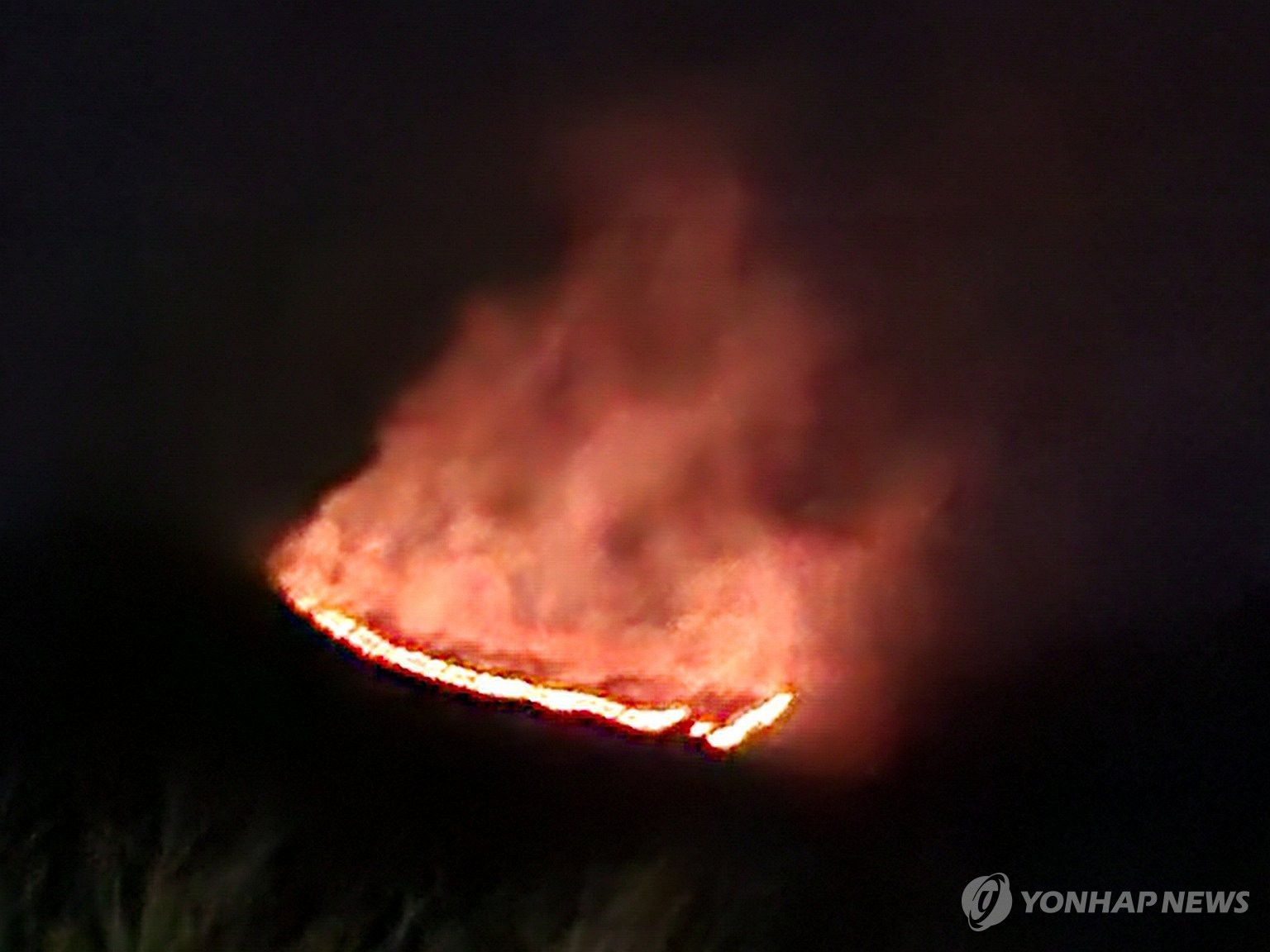 양양 서면서 산불…진화 중