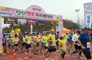 "즐겁게 벚꽃길 누볐다"…합천 마라톤대회 개회