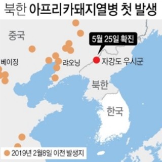  북한 아프리카돼지열병 첫 발생