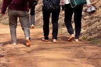 %22고령층 하루 5천보만 걸어도 인지기능 저하 늦출 수 있다%22